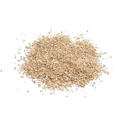 Oat Seed